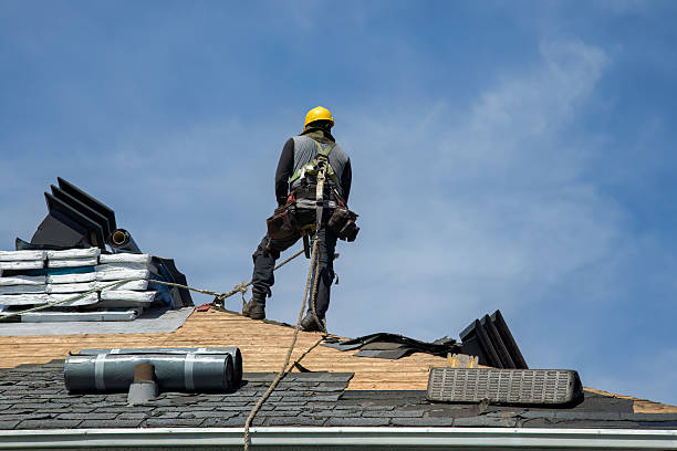 Professional Roof Replacement technician working in Winton, NC